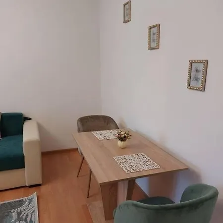 Garsoniera Centrala Renovata