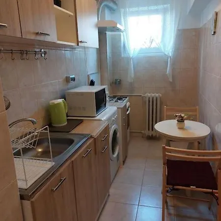 Garsoniera Centrala Renovata