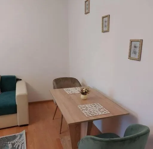 Garsoniera Centrala Renovata