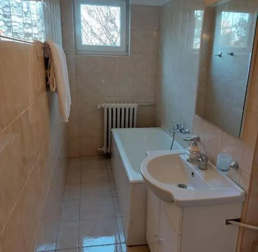 Garsoniera Centrala Renovata Bükreş