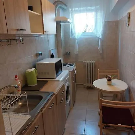 דירה Garsoniera Centrala Renovata בוקרשט