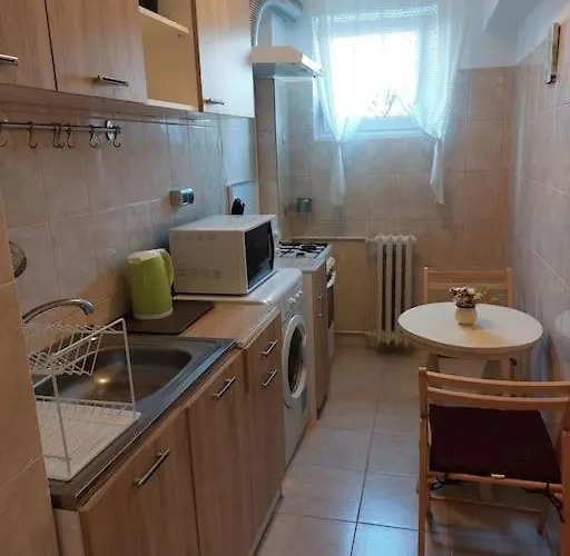 Garsoniera Centrala Renovata